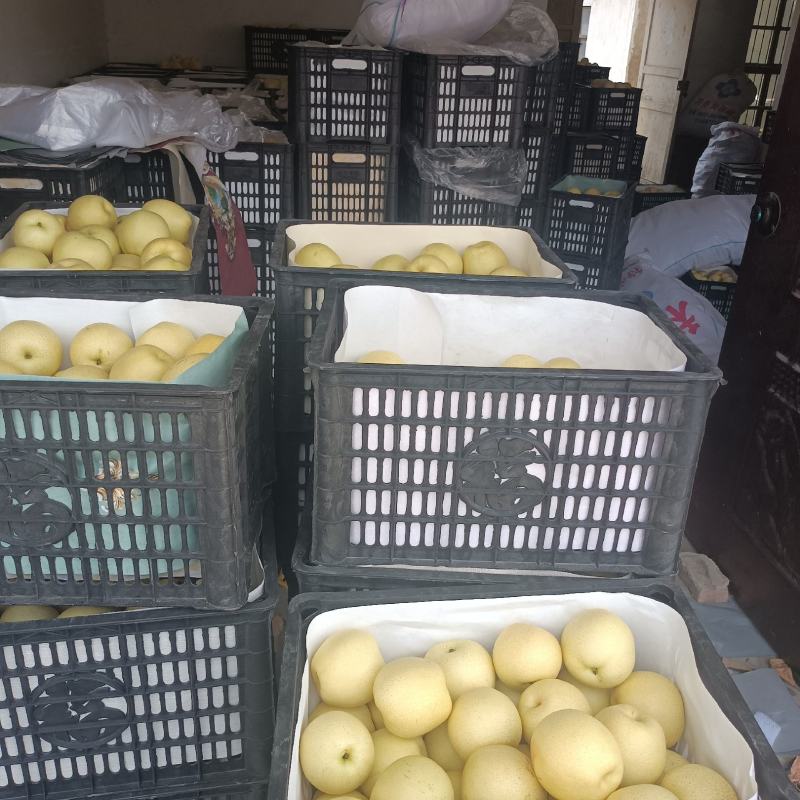 砀山白皇冠梨，货源充足，质量好口感脆甜，产地直发