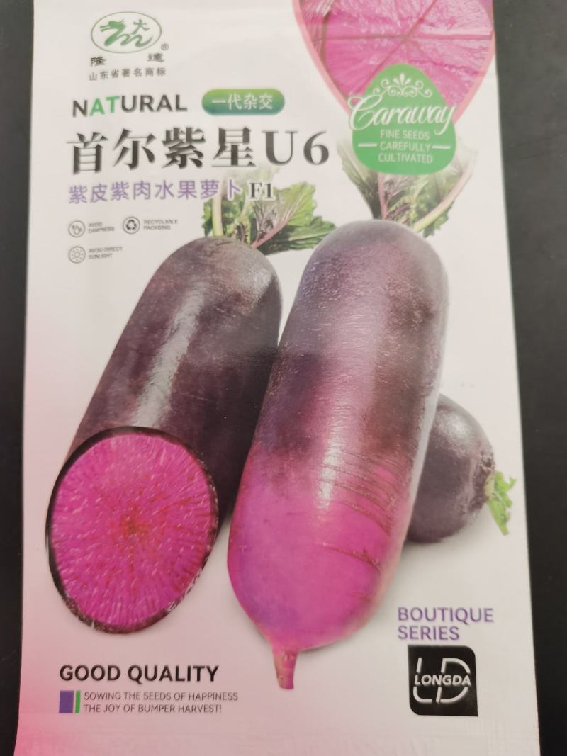 特色水果萝卜冰淇淋紫美特色冰糖心水果萝卜种子