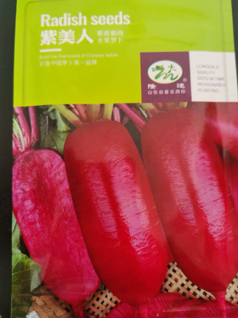 特色水果萝卜冰淇淋紫美特色冰糖心水果萝卜种子
