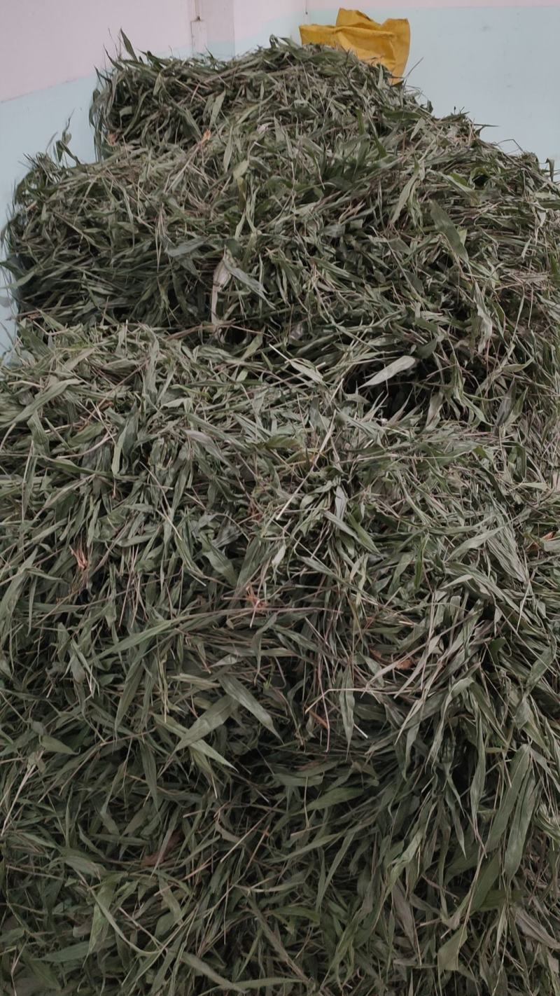 【高品质】野生淡竹叶大量上市货源充足代发全国欢迎来电