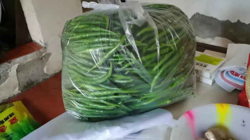 精品鲜辣椒湖北线椒大量供应中产地直发对接商超市场等