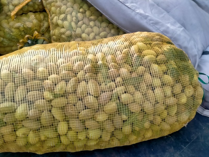 新鲜巴旦木鲜（巴旦杏）（扁桃核）？新鲜香脆甜，老少皆宜。