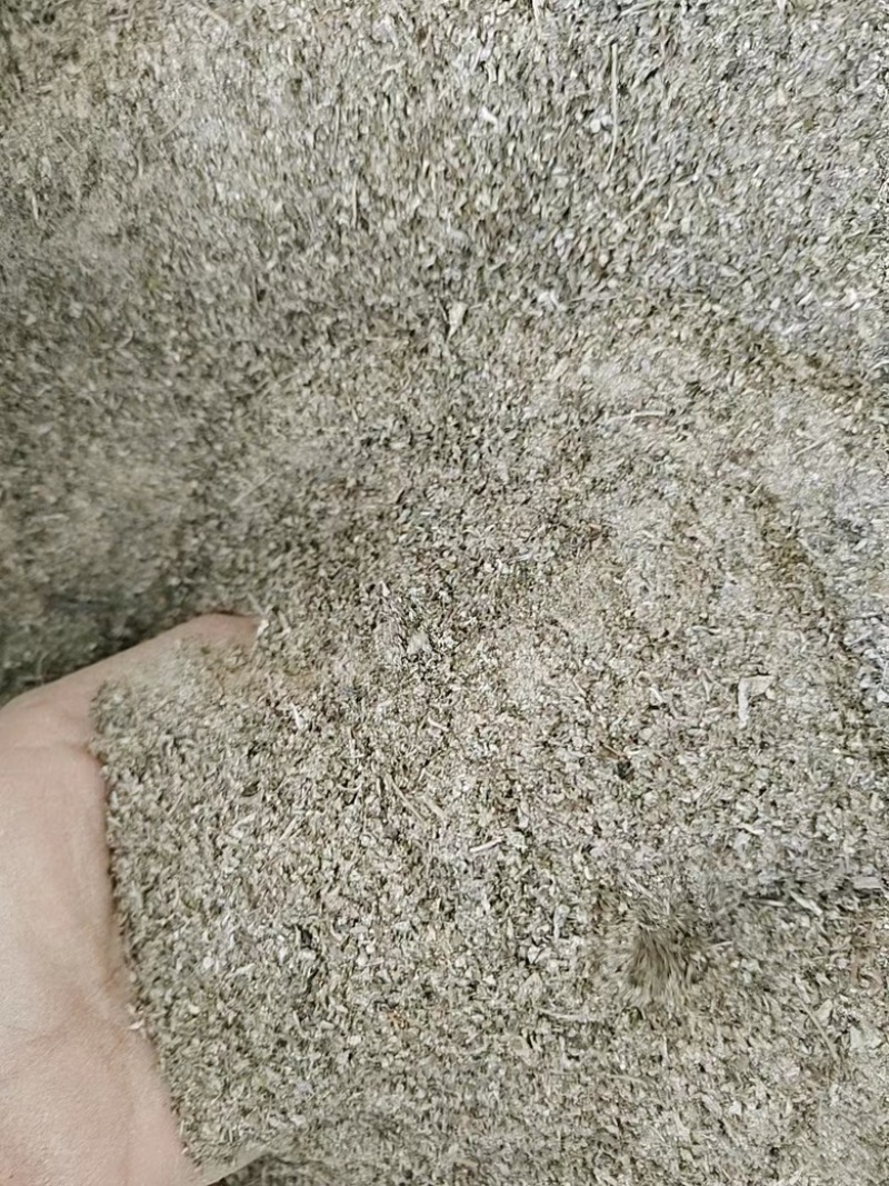 野生藤茶，茶粉一手货源，大量有货，欢迎老板采购