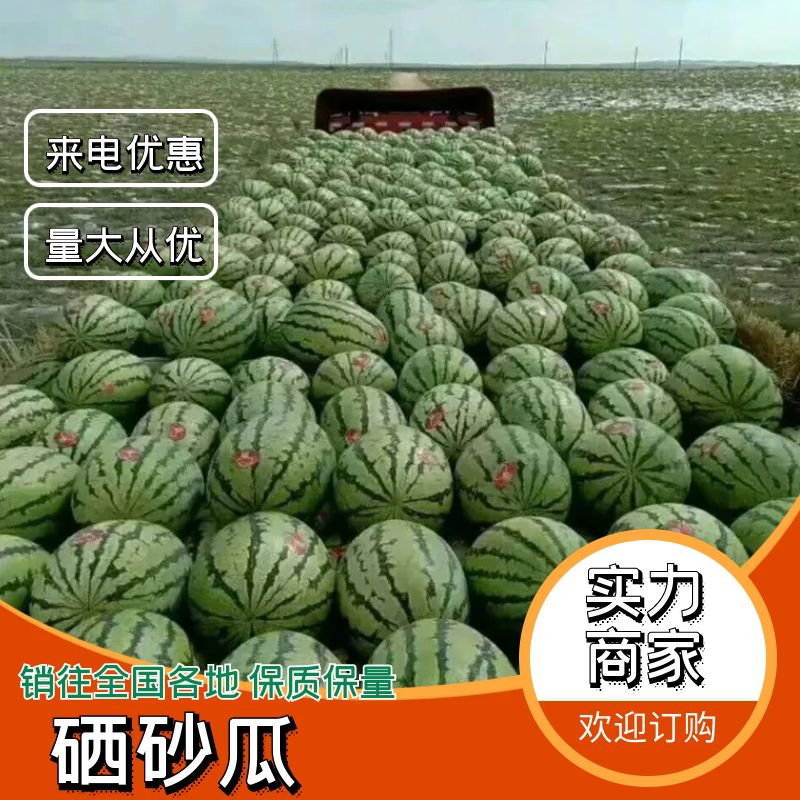 靖远石头瓜大量上市，产地一手货源直发，小薄皮大红瓤