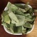 中药材批发四川大货淫羊藿淫羊霍植物原料洋火叶散