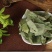 中药材批发四川大货淫羊藿淫羊霍植物原料洋火叶散
