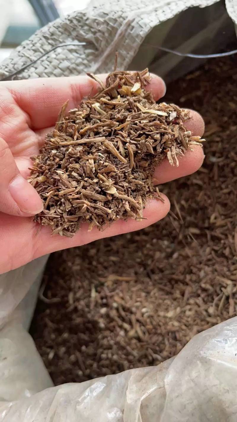 中药材批发当归当归片不熏硫当归大货一件代发量大价优