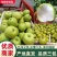 【推荐】皇冠梨翠甜精品优选现摘现发商超优选诚信经营