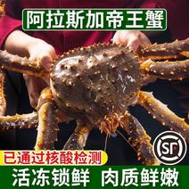 生冻阿拉斯加帝王蟹5斤海鲜水产品红蟹蓝蟹棕蟹顺丰上