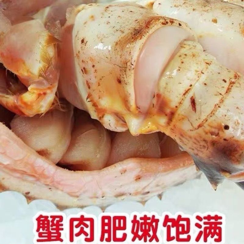 生冻阿拉斯加帝王蟹5斤海鲜水产品红蟹蓝蟹棕蟹顺丰上