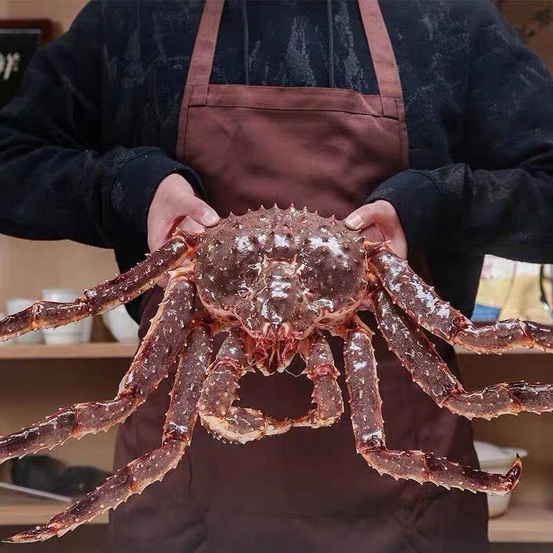 生冻阿拉斯加帝王蟹5斤海鲜水产品红蟹蓝蟹棕蟹顺丰上
