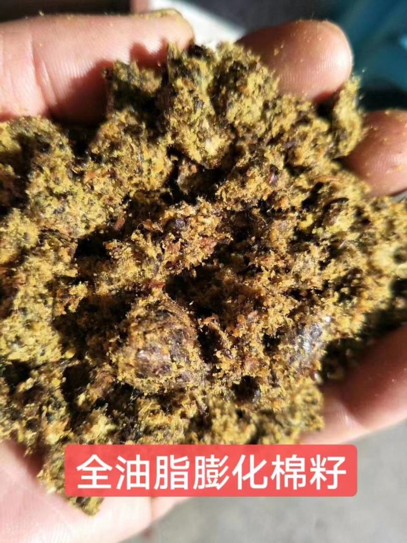 [精选]秕壳饲料全油脂膨化棉籽牛羊催肥饲料催肥