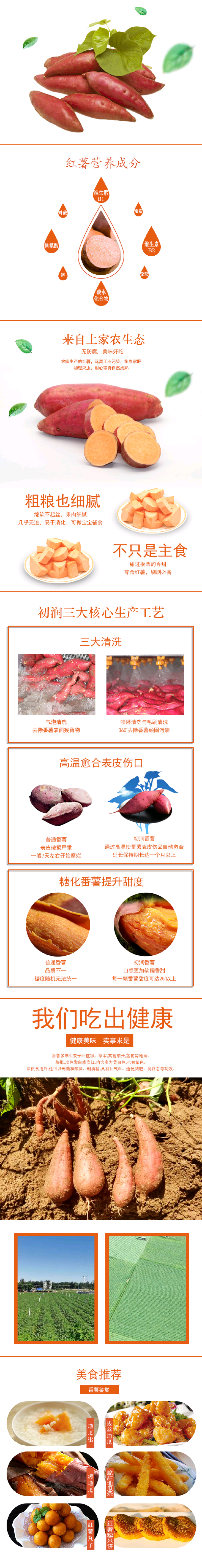 六鳌蜜薯糖化地瓜精品西瓜红