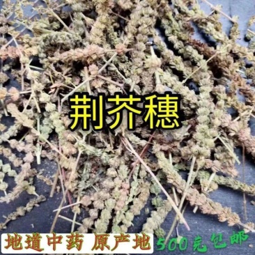 中药材荆芥500g带穗野生荆芥荆芥穗荆芥干香荆芥土