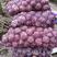 《精品》露天洋葱，大面积种植，二红洋葱紫皮洋葱代发全国。