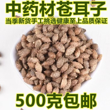 正品苍耳子中药材正宗无硫无任何添加苍耳子新货苍耳子多