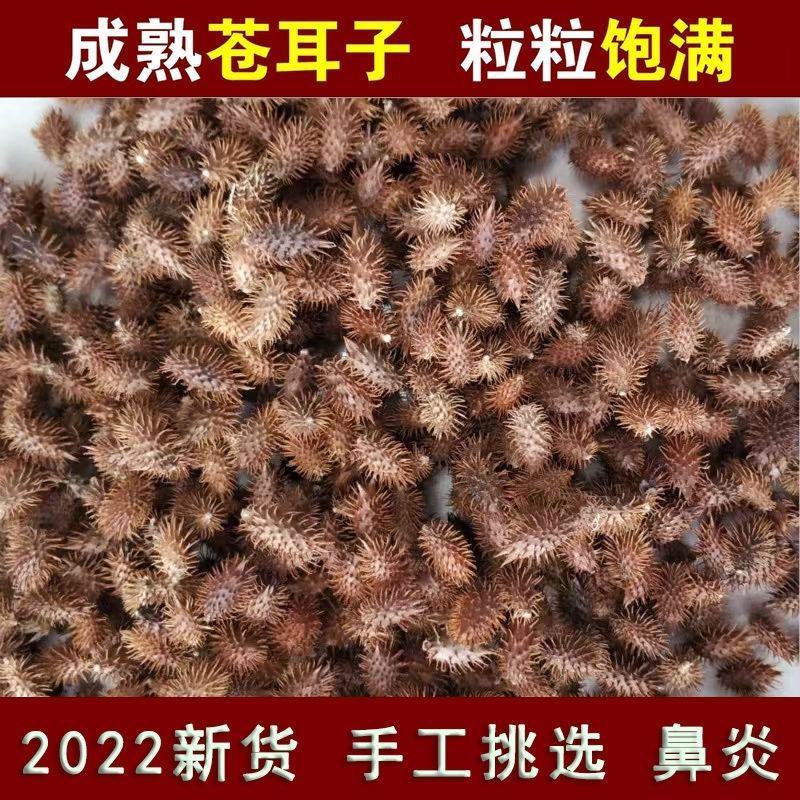 正品苍耳子中药材正宗无硫无任何添加苍耳子新货苍耳子多
