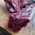 带肉驴架驴肉骨驴架子驴脊骨尾骨颈骨全部带肉五斤装包邮