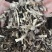 古田无硫干货鹿茸菇菌香浓郁品质保证量大从优