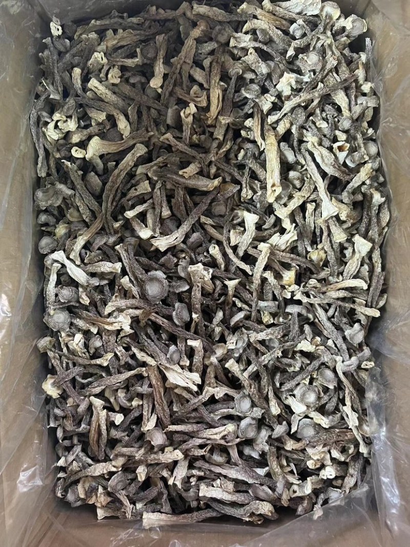 古田无硫干货鹿茸菇菌香浓郁品质保证量大从优