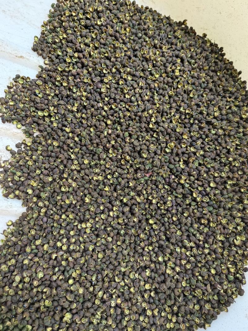 青花椒新干货