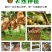 【一件代发】四川蒲江红心猕猴桃……原产地