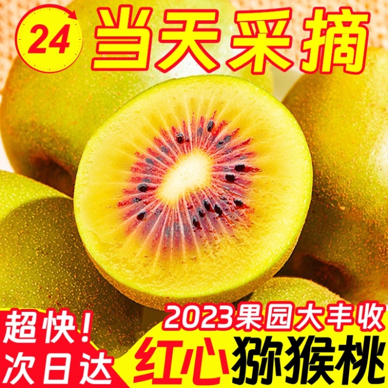 【一件代发】四川蒲江红心猕猴桃……原产地