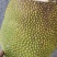 泰八菠萝蜜