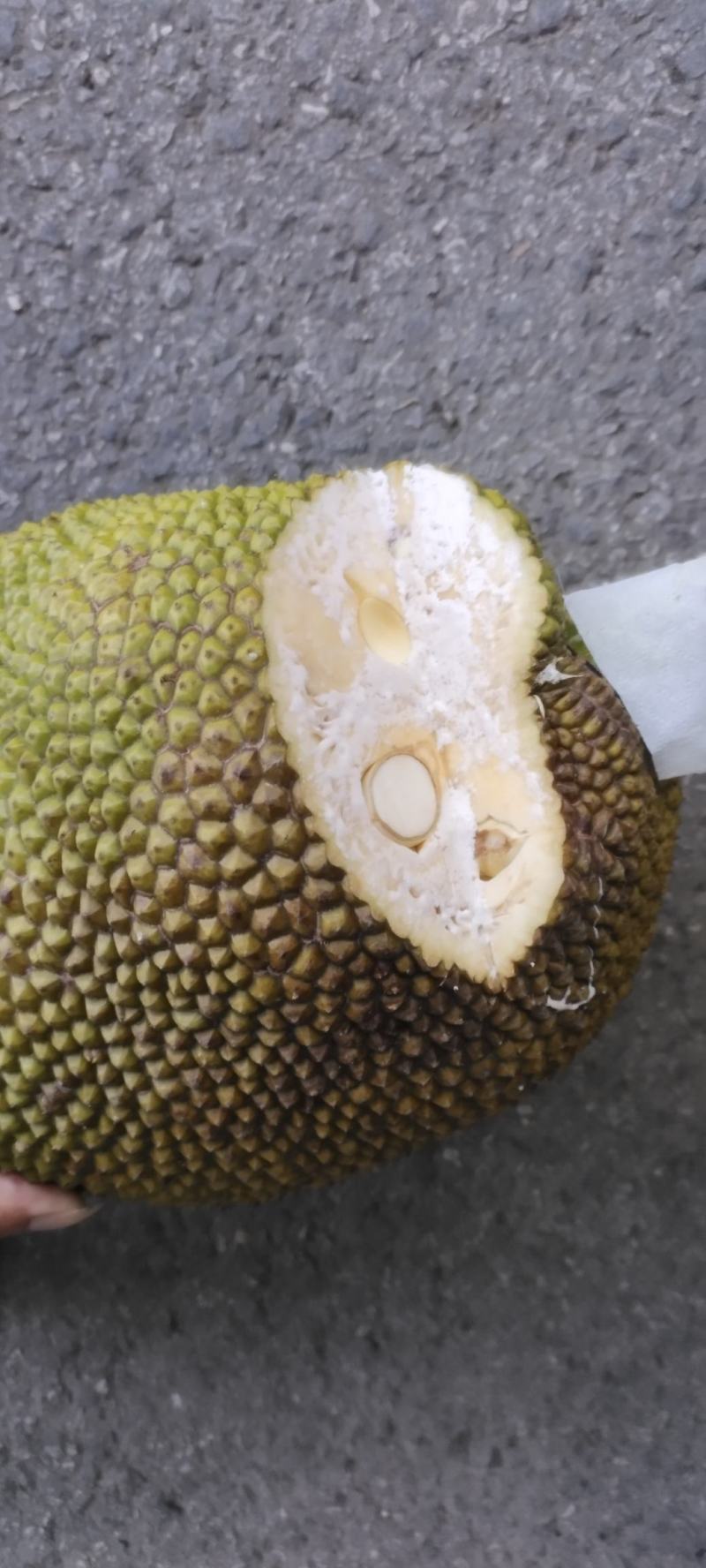 泰八菠萝蜜