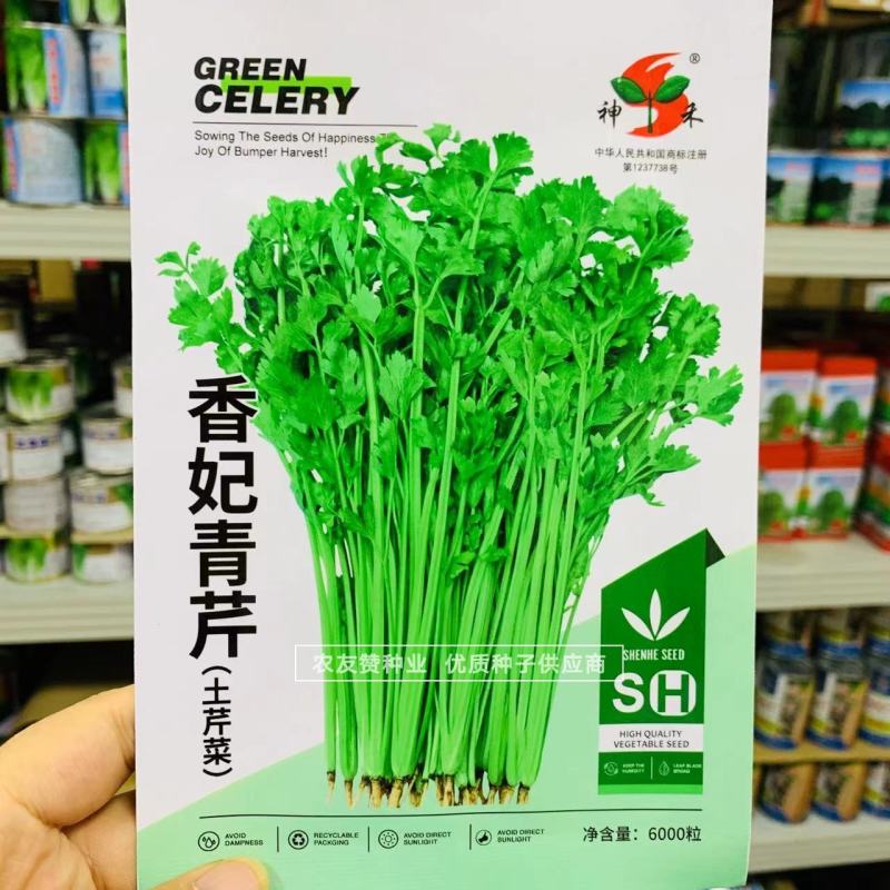 四季蔬菜种子土芹菜种子香妃青芹青香芹种子抗病耐热耐寒