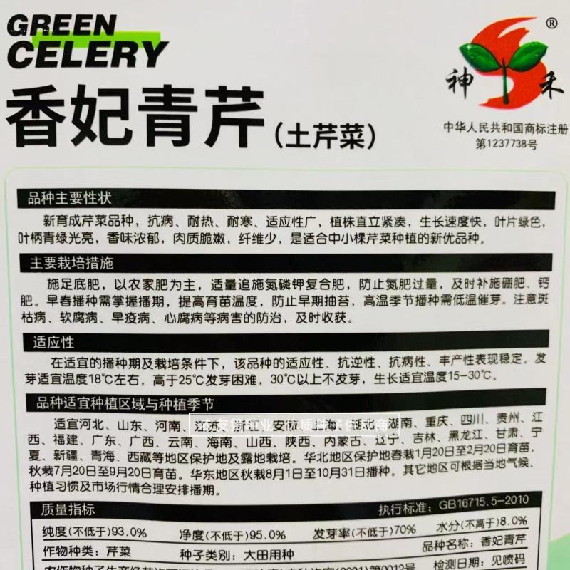 四季蔬菜种子土芹菜种子香妃青芹青香芹种子抗病耐热耐寒