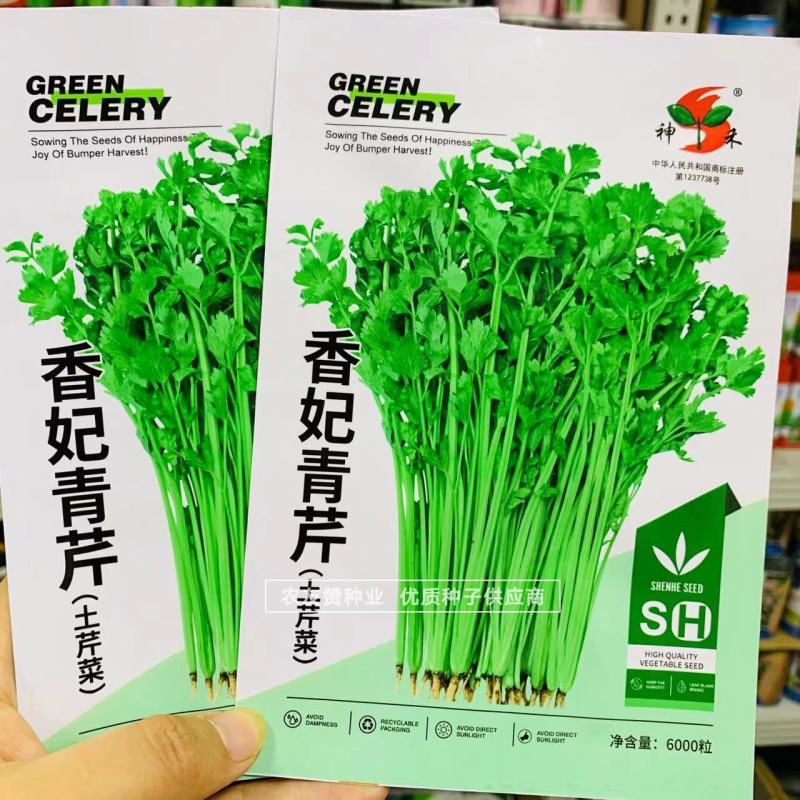 四季蔬菜种子土芹菜种子香妃青芹青香芹种子抗病耐热耐寒