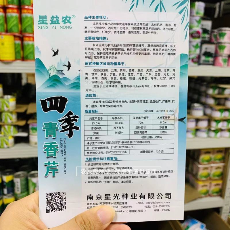四季蔬菜种子土芹菜种子香妃青芹青香芹种子抗病耐热耐寒