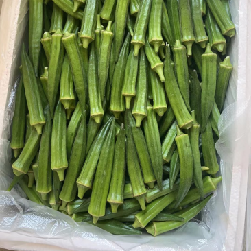 黄秋葵