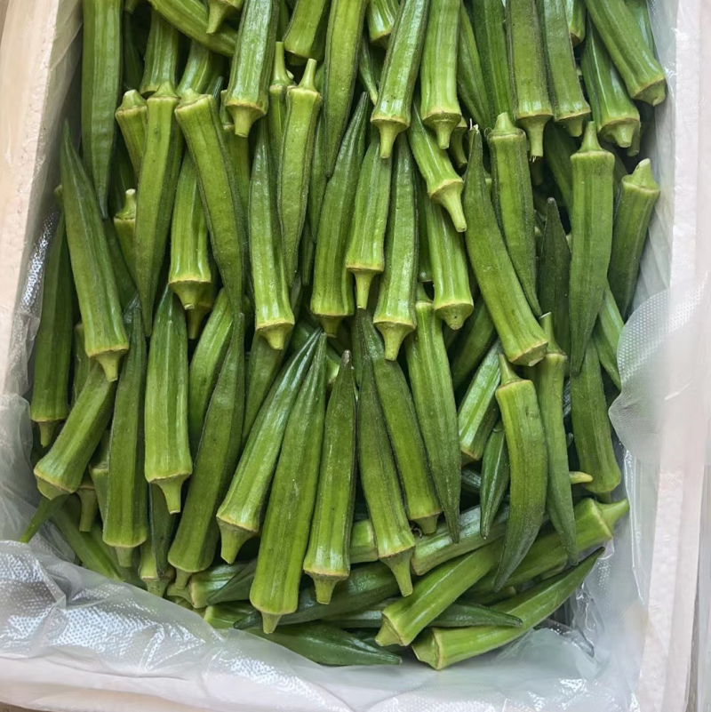 黄秋葵