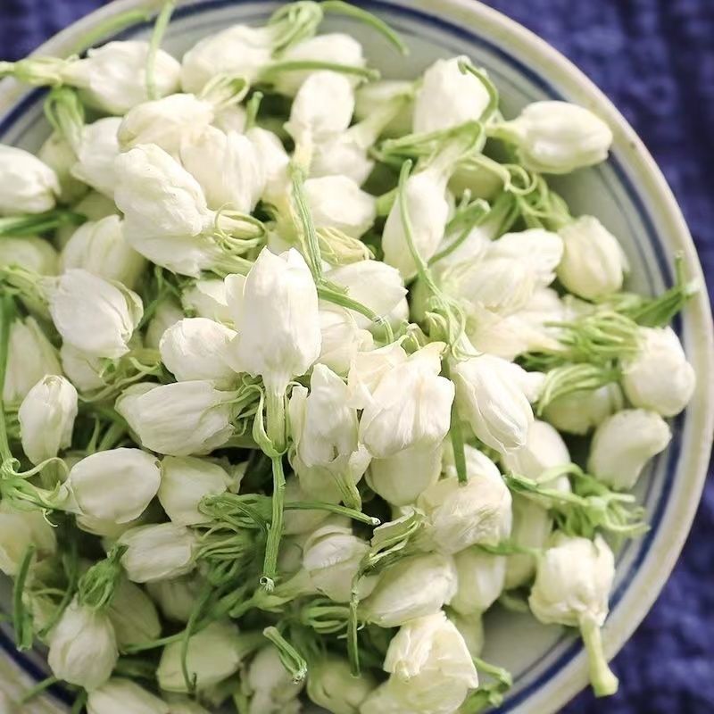 茉莉花茶特级新货茉莉茉莉花花苞新茶干花花茶泡水浓香型茶叶