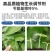 5%苄氨基嘌呤果树促芽分化保花保果细胞分裂素膨大快调节剂