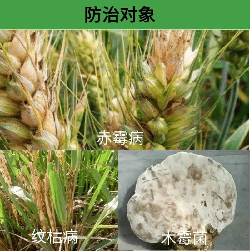 上海悦联80%多菌灵水稻纹枯病小麦赤霉病炭疽病轮纹病农药