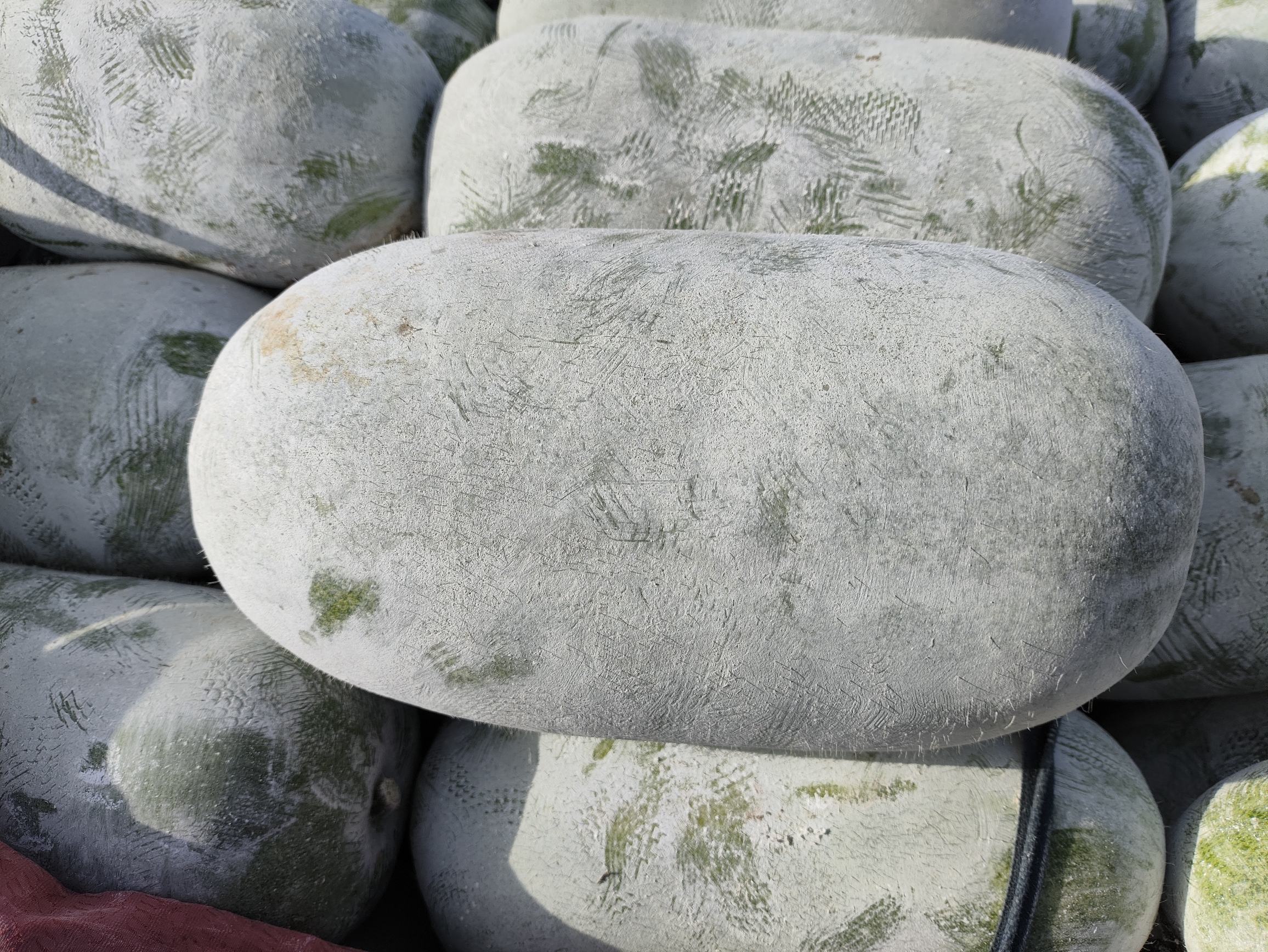 冬瓜皮与瓤的清洗与处理过程