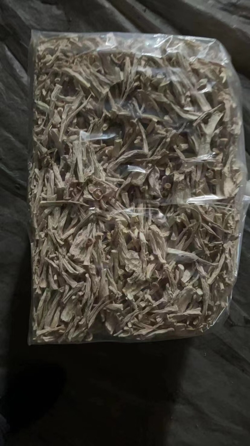 干白玉菇海鲜菇福建晒干白玉菇产地直供代发全国一条龙服务电联