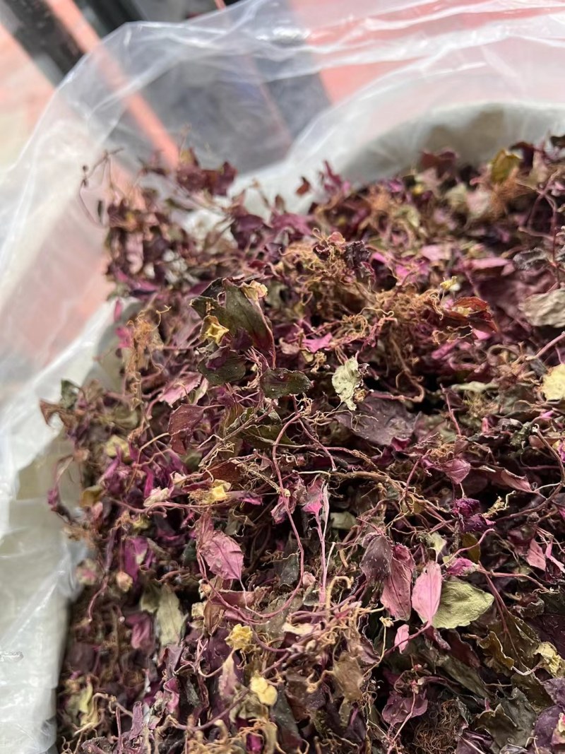 风柜斗草水洗烤干去杂质