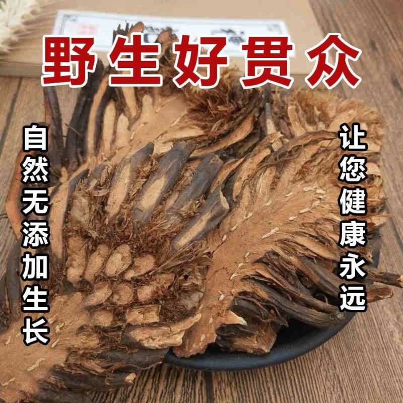 中药材贯众真品贯众/贯渠/百头/虎卷/贯仲贯节