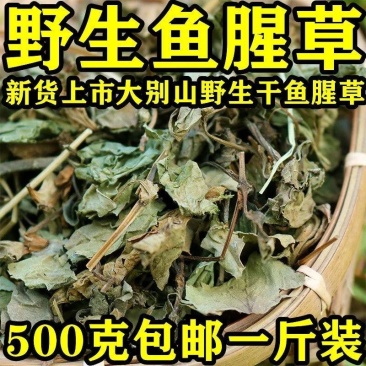 野生鱼腥草新货正品折耳根新鲜干货干鱼腥草干包邮中药材