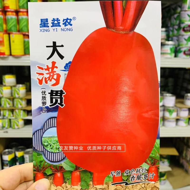 优质红皮萝卜种子皮色鲜红香脆多汁早熟秋季红色萝卜种子