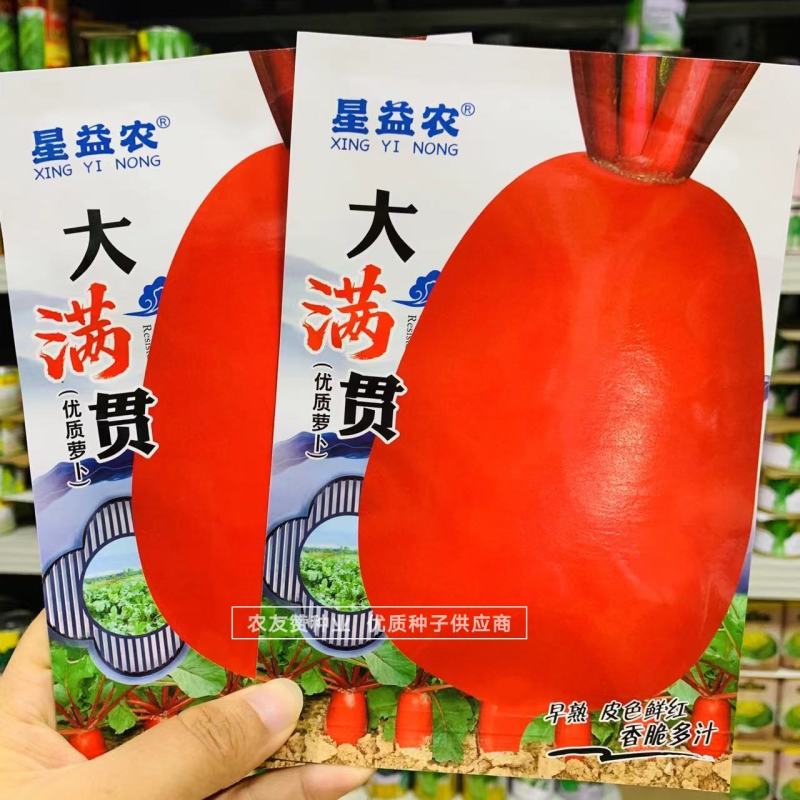 优质红皮萝卜种子皮色鲜红香脆多汁早熟秋季红色萝卜种子