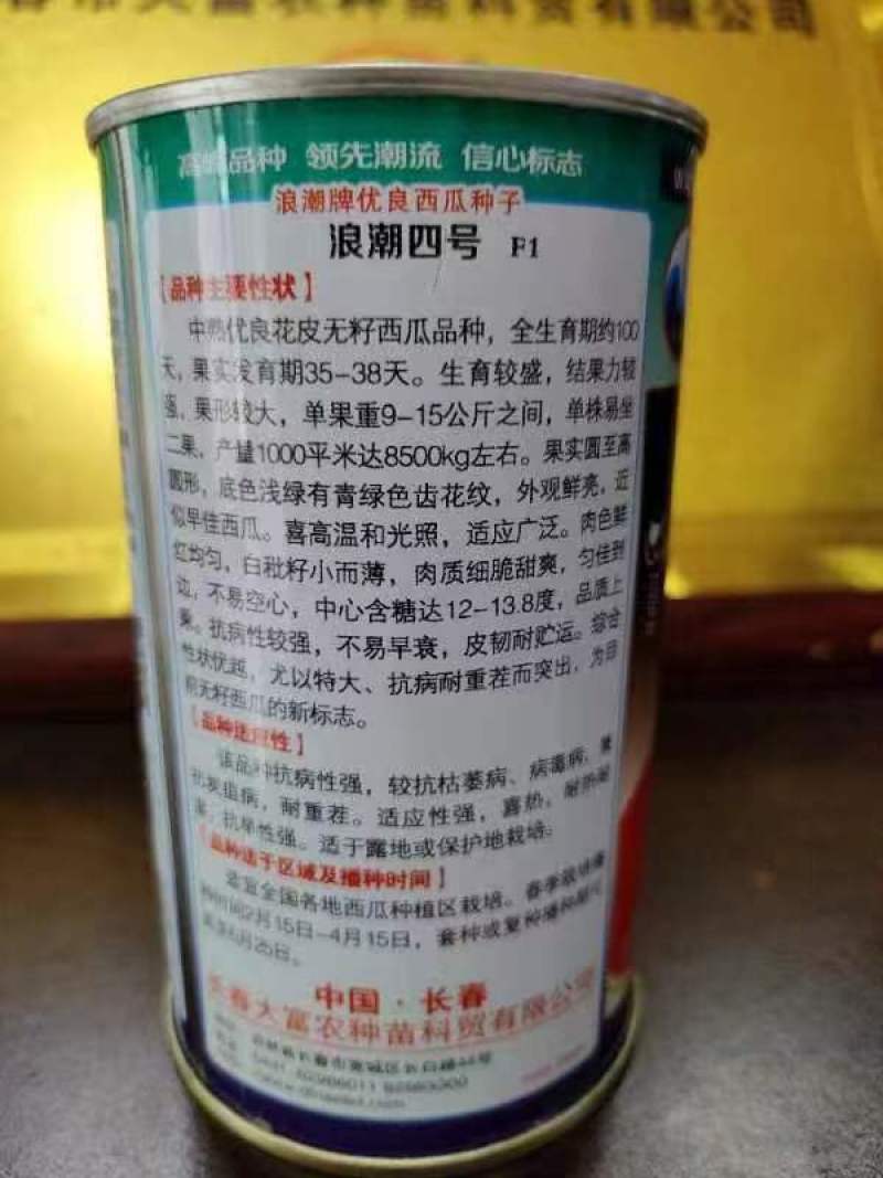 黑神100无籽西瓜种子黑皮西瓜种子抗病高产含糖量高不空心