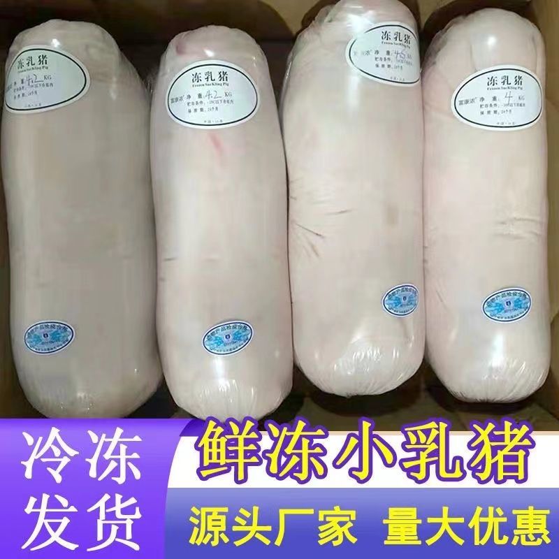 白条乳猪烤乳猪白条品质保证全国发货防疫齐全坏了包赔