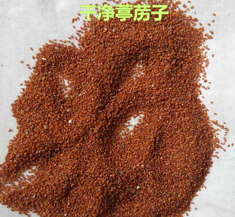 葶苈子