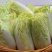 1000粒信研虎娃黄心娃娃菜正品耐高温早熟白菜种籽种子