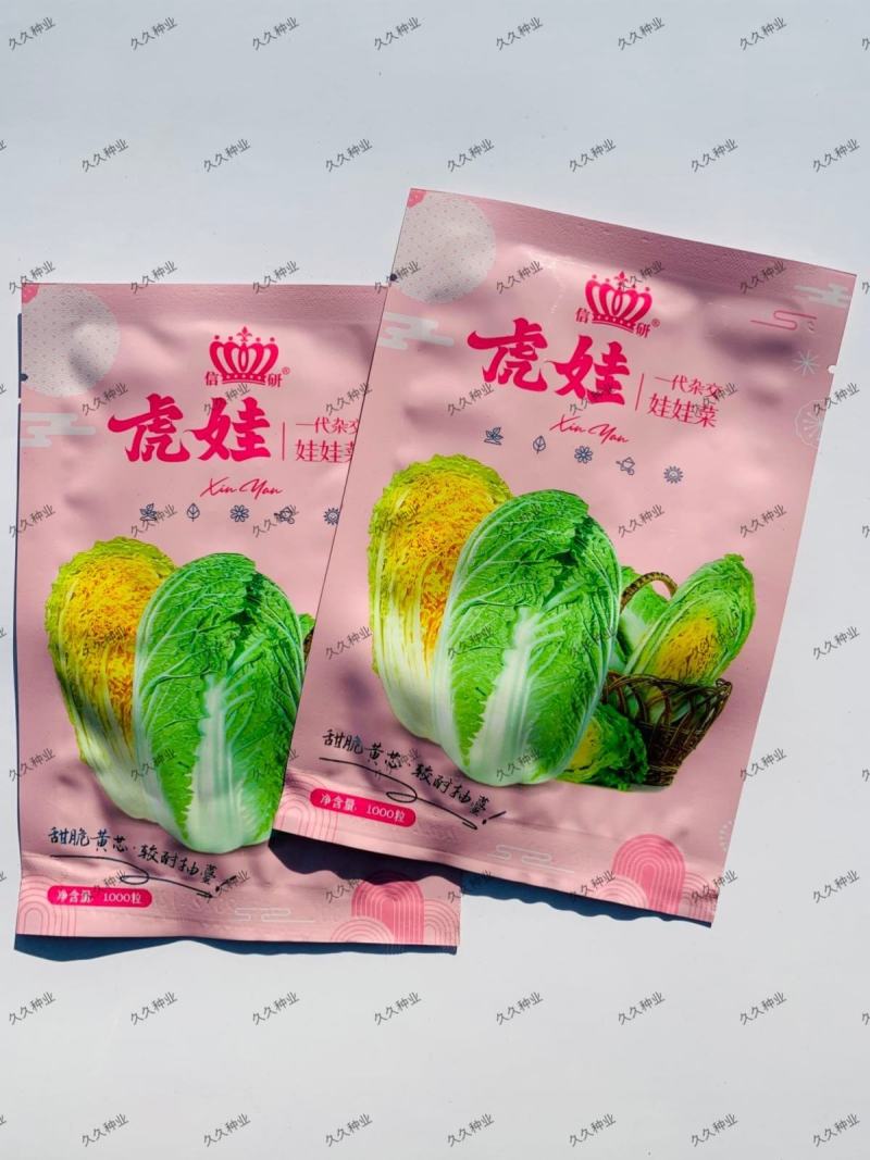 1000粒信研虎娃黄心娃娃菜正品耐高温早熟白菜种籽种子